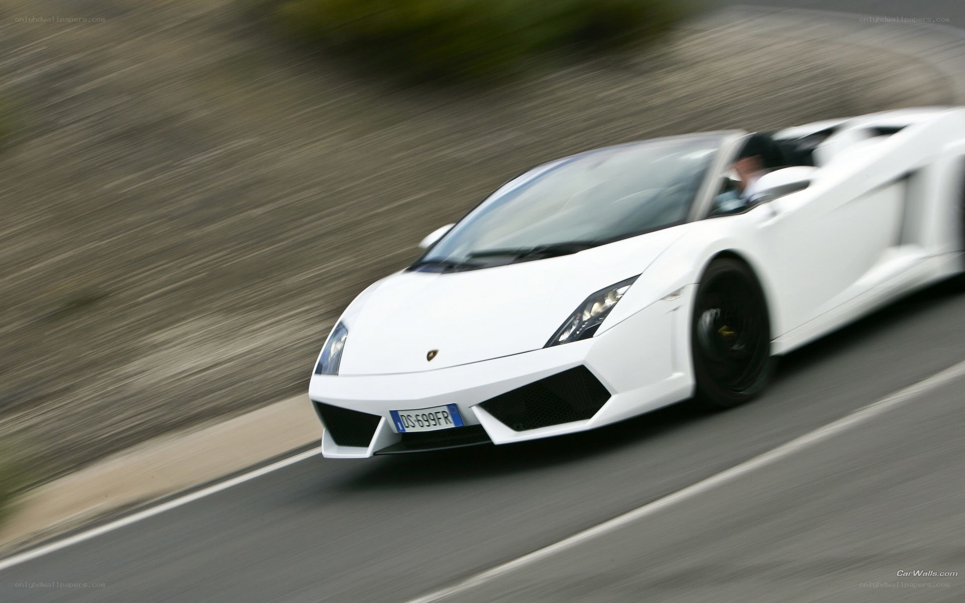 white lamborghini speeding on road