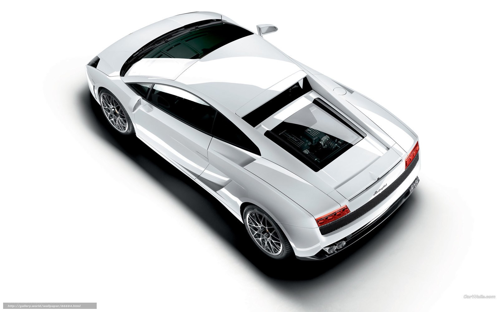 white lamborghini sports car