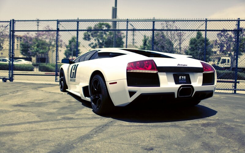 white lamborghini sports car