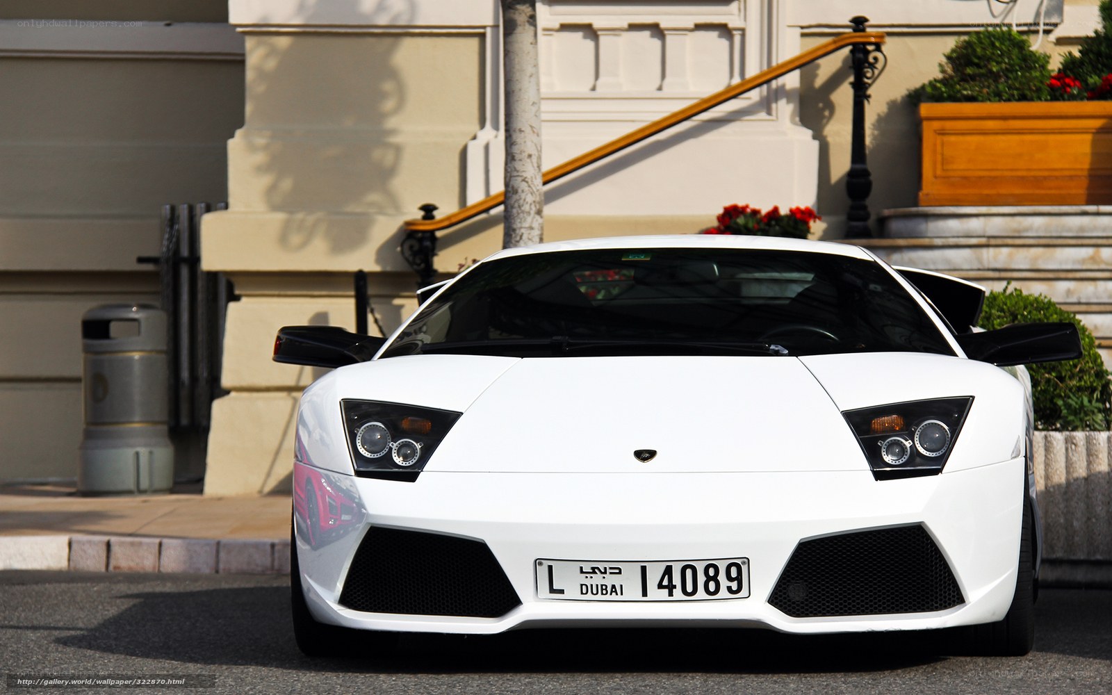 White Lamborghini sports car