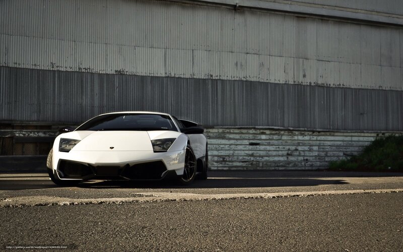 white lamborghini sports car