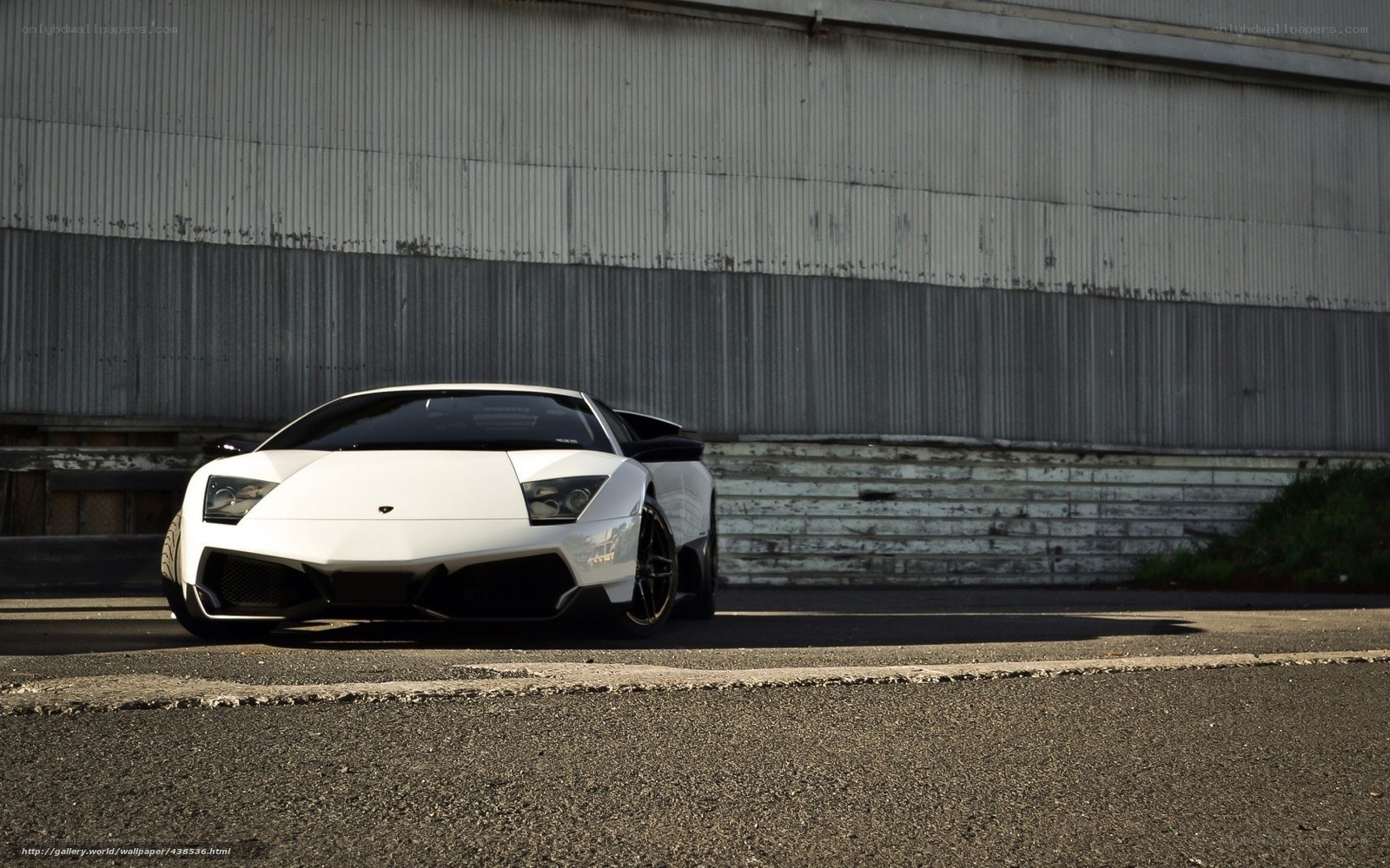 white lamborghini sports car