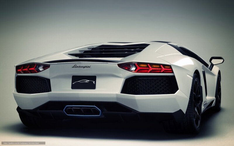 white lamborghini sports car