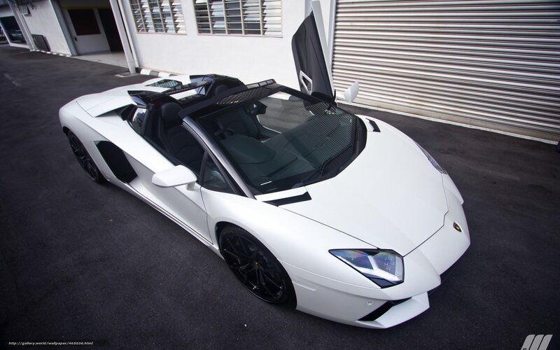 white lamborghini sports car