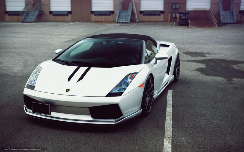 white lamborghini sports car
