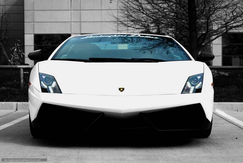 White Lamborghini sports car