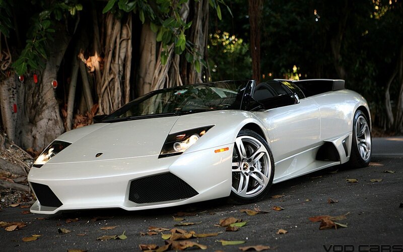 White Lamborghini sports car