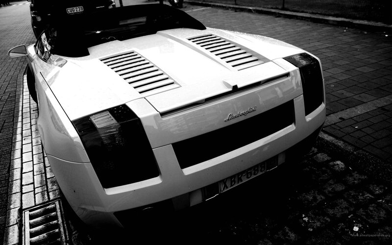white lamborghini sports car