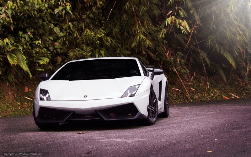 White Lamborghini Sports Car — Dramatic, Photograph, Road