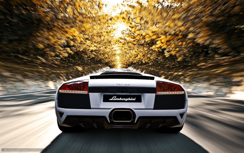 White Lamborghini Sports Car — Dynamic, Autumn, Photograph, Road