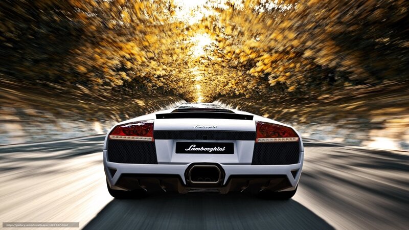 White Lamborghini Sports Car — Dynamic, Autumn, Photograph, Road, Trees