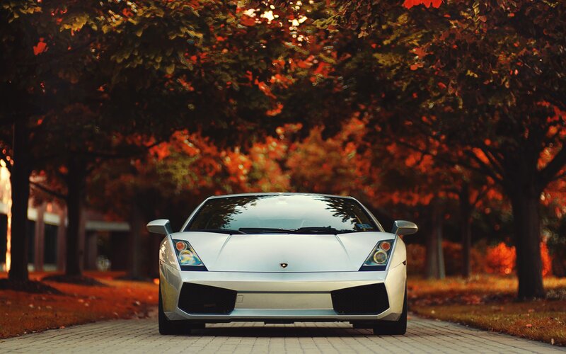White Lamborghini Sports Car — Serene, Autumn, Photograph