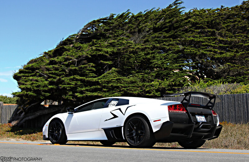 White Lamborghini Sports Car — Serene