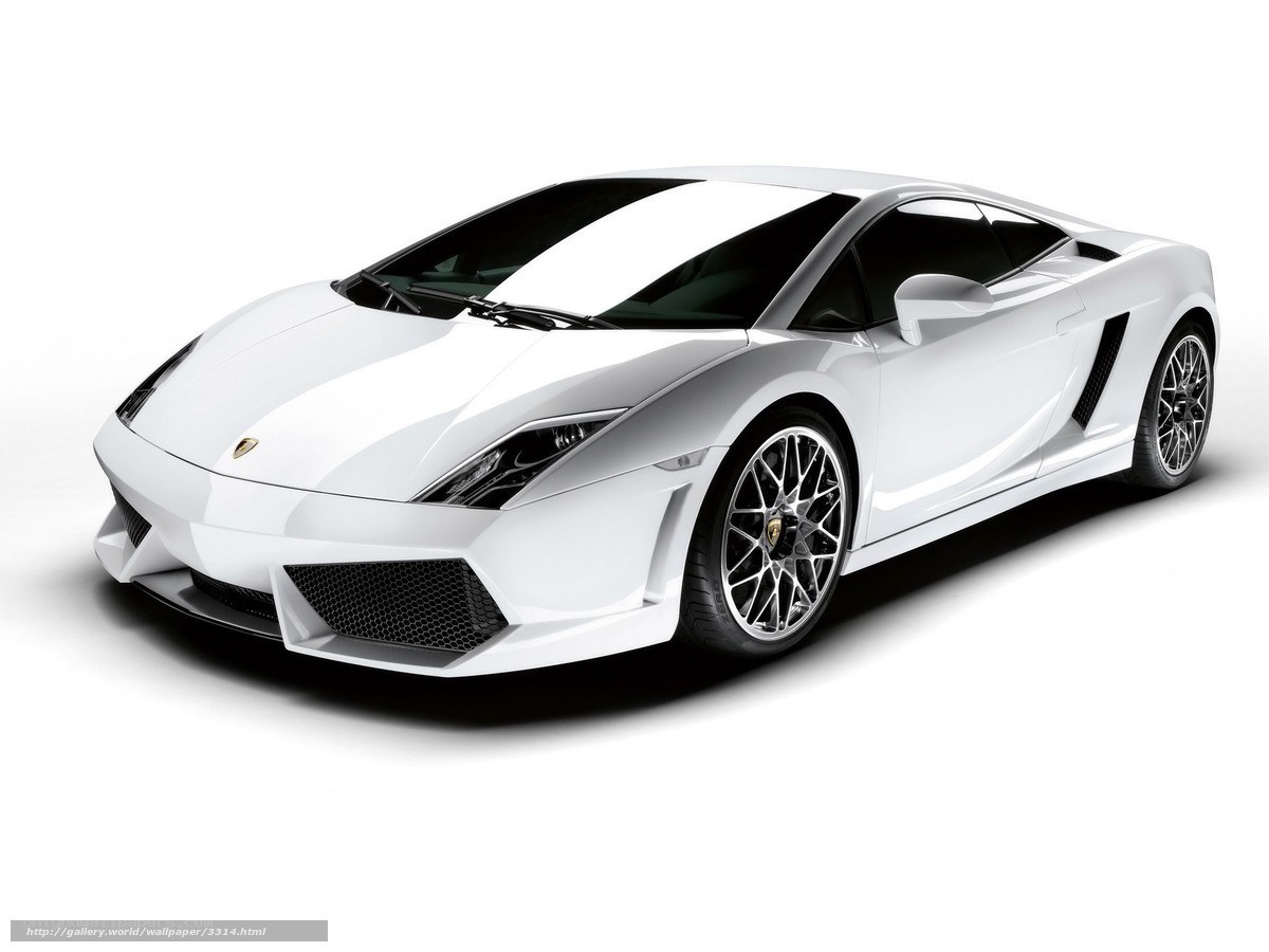 white Lamborghini sports car