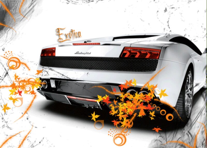 White Lamborghini with autumn leaves