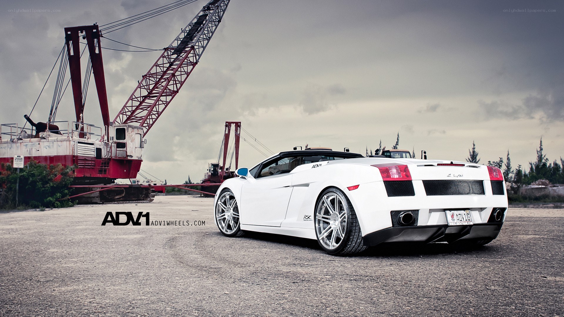 White Lamborghini with custom wheels