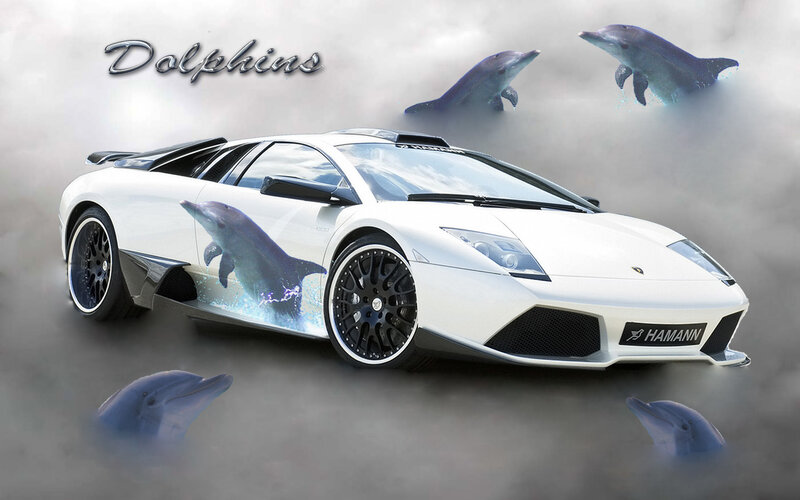 White Lamborghini with dolphins