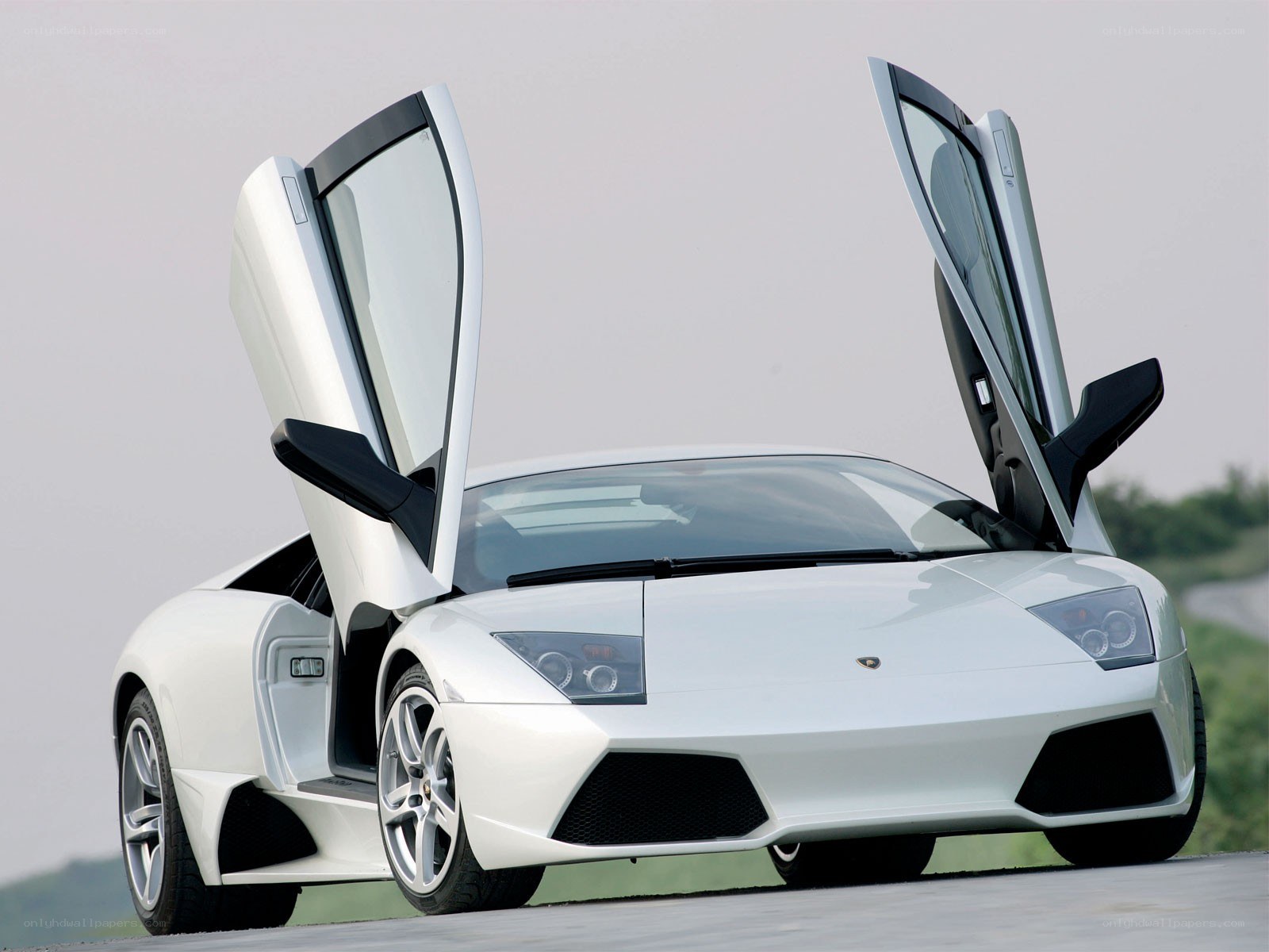 White Lamborghini with doors open