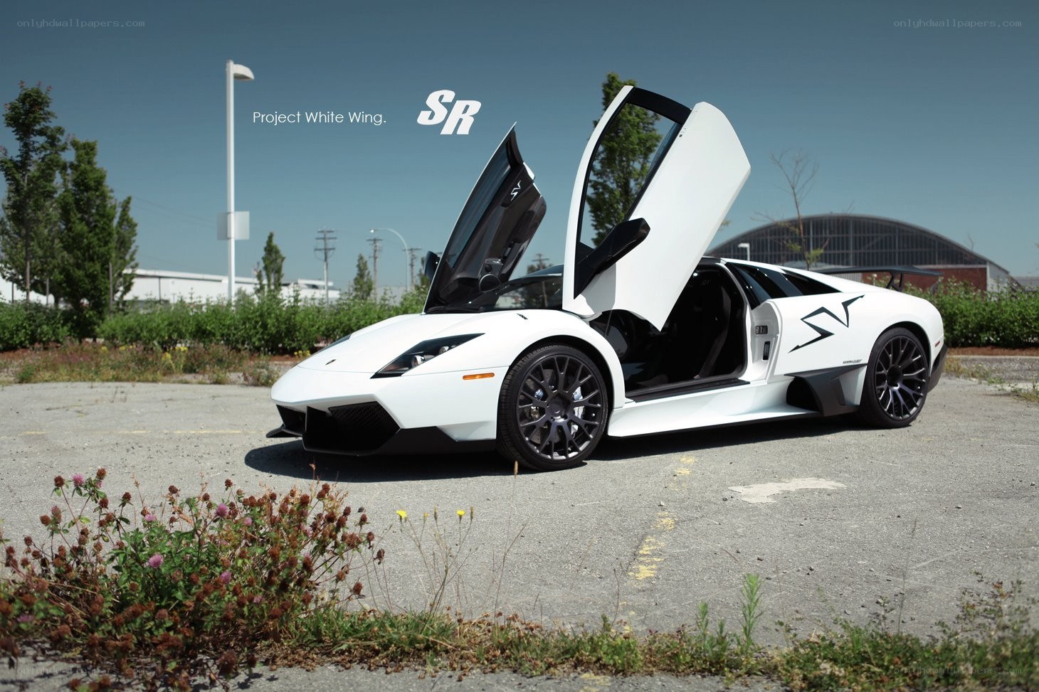 White Lamborghini with doors open
