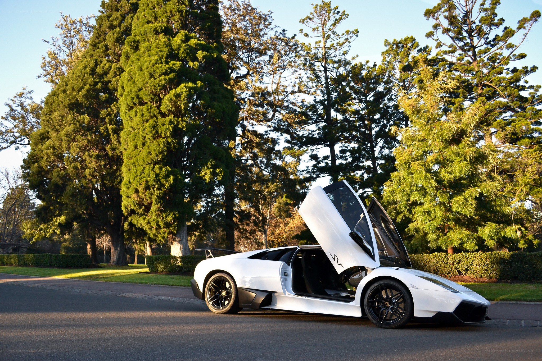 White Lamborghini with doors open