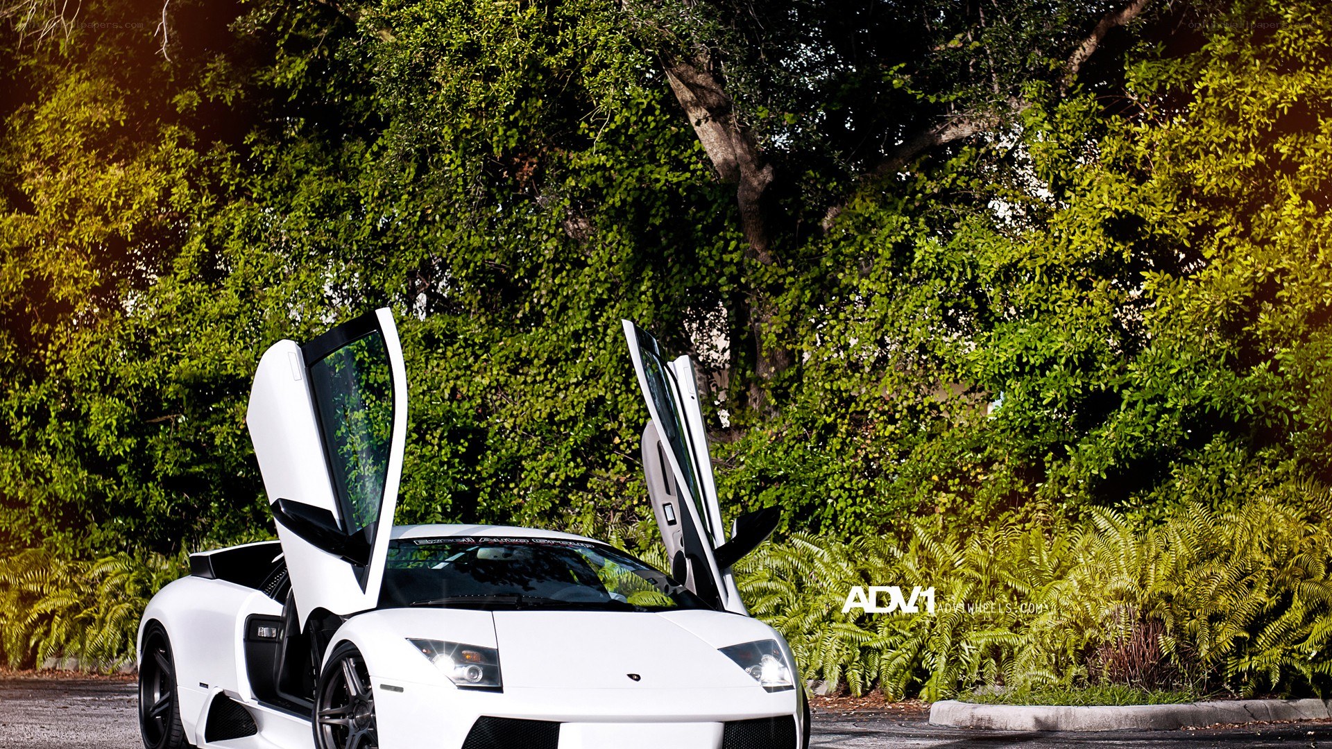 white lamborghini with doors open