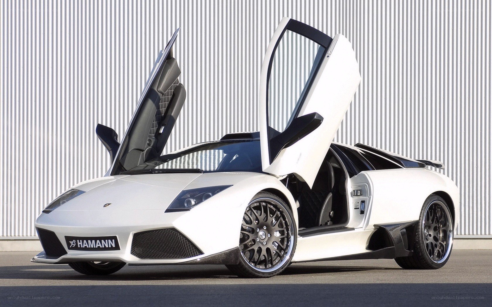 White Lamborghini with doors open