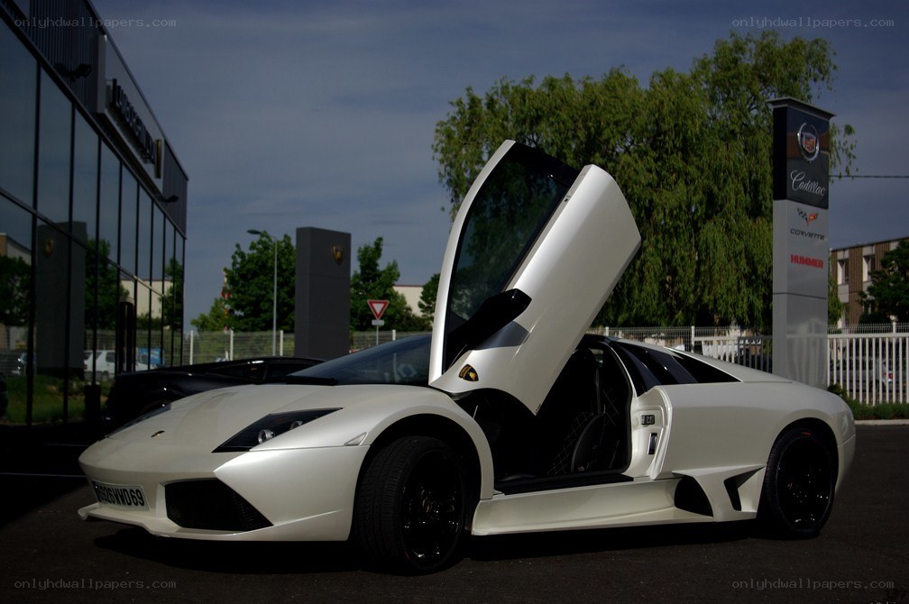 White Lamborghini with doors open