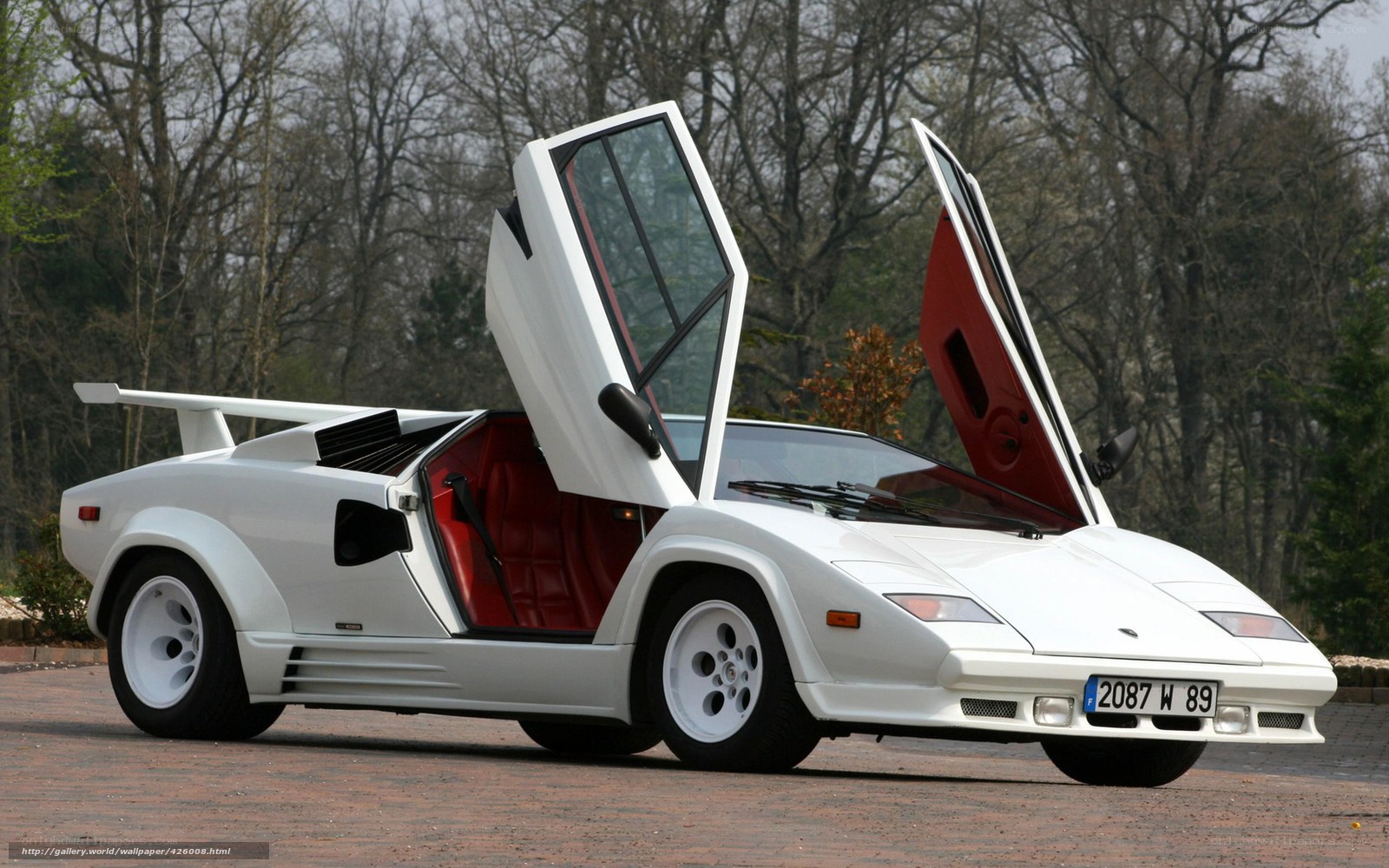white lamborghini with doors open