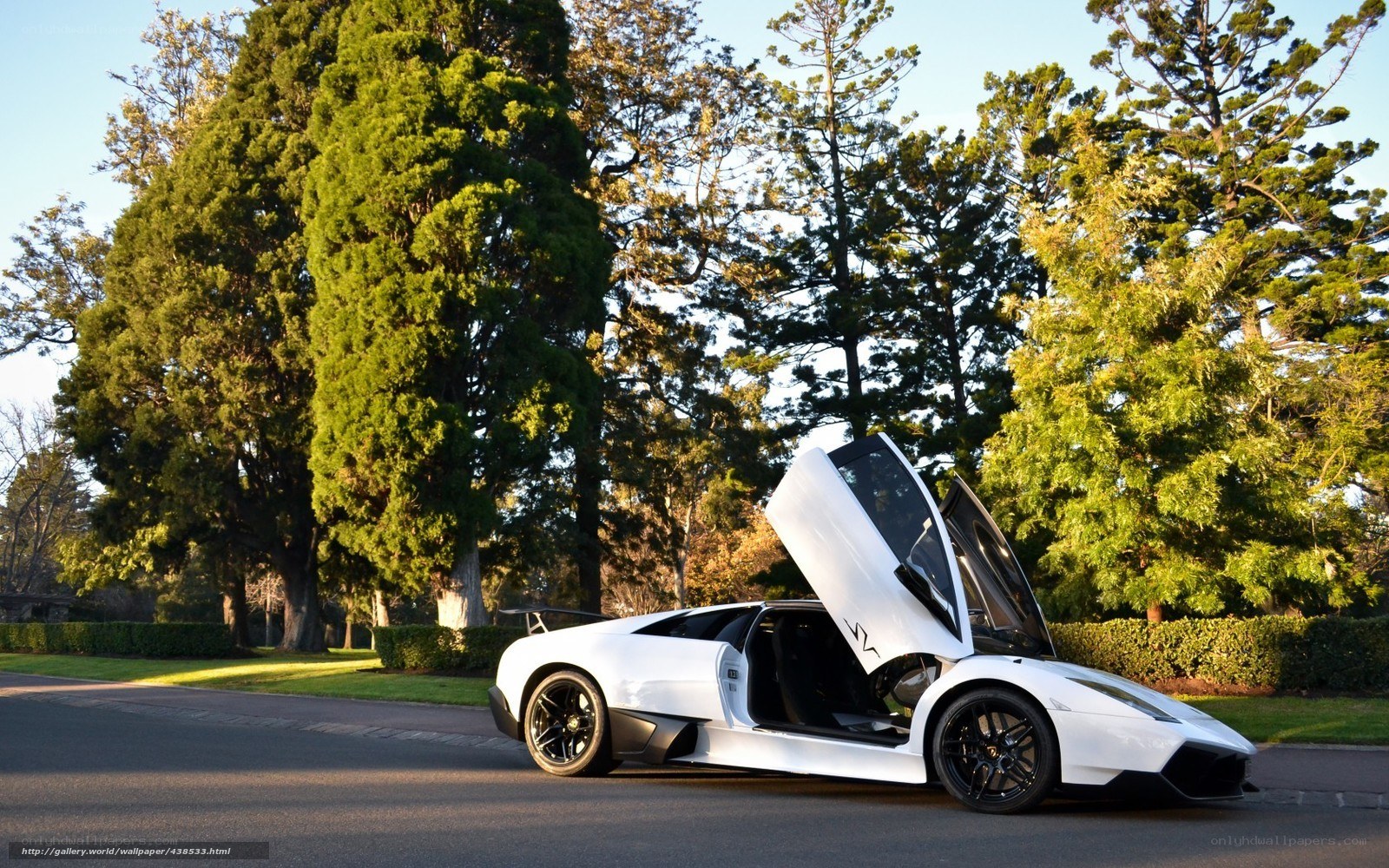 white lamborghini with doors open