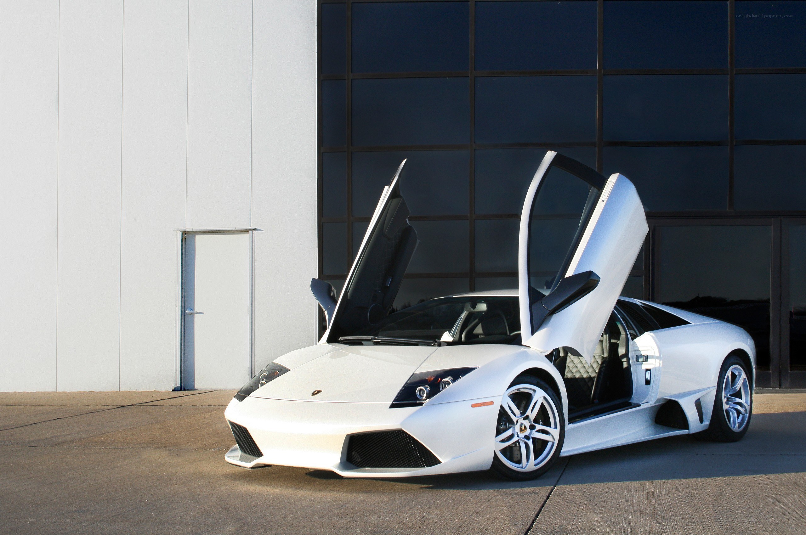 White Lamborghini with doors open