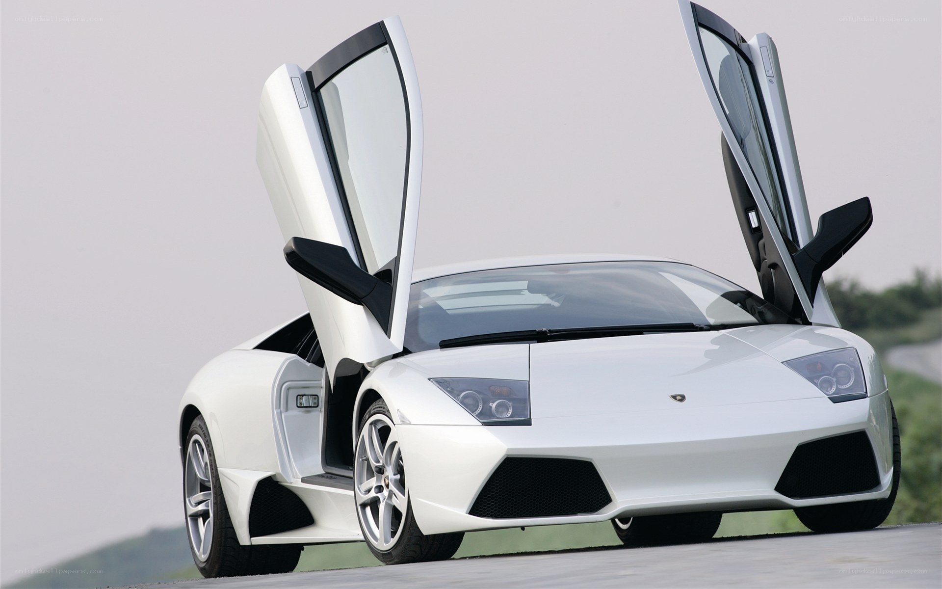 White Lamborghini with doors open