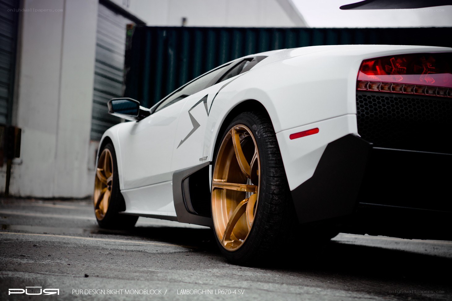 white lamborghini with gold wheels