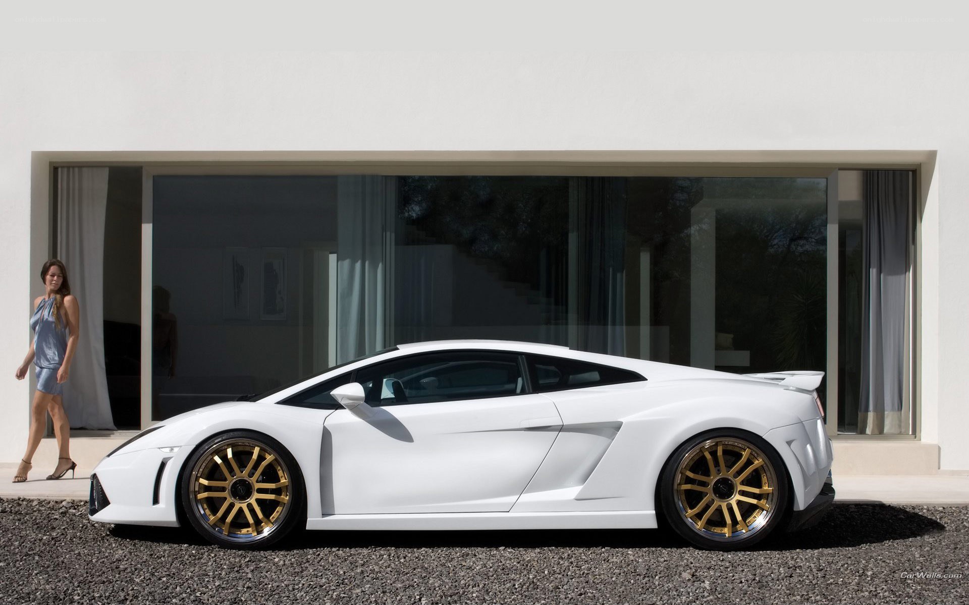 White Lamborghini with gold wheels