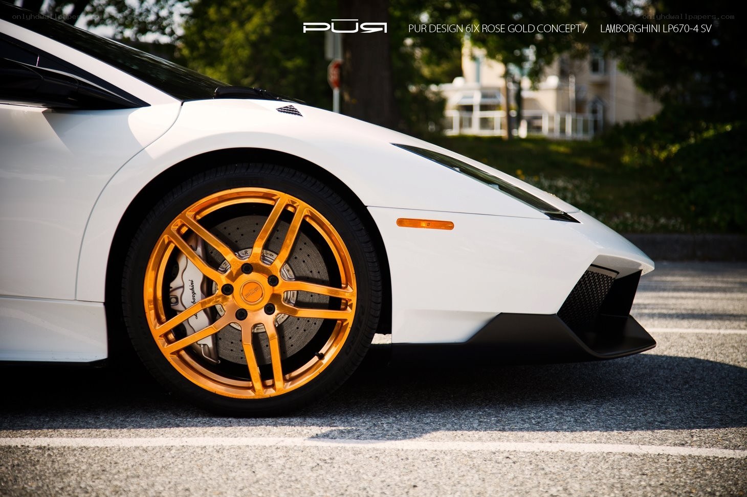 White Lamborghini with gold wheels