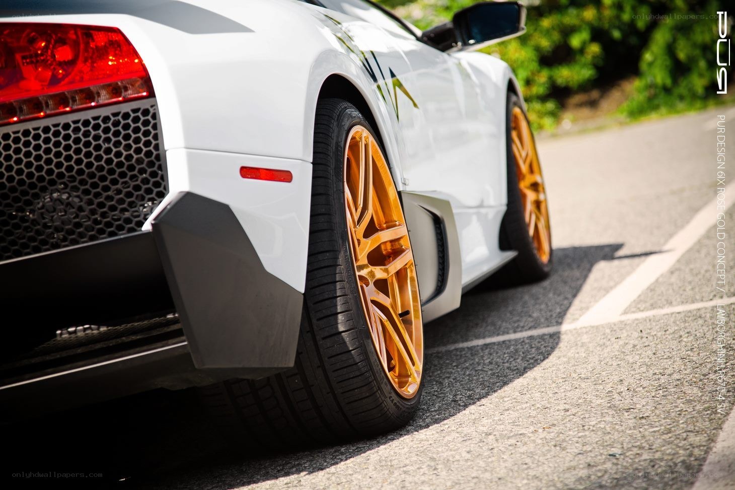 white lamborghini with gold wheels