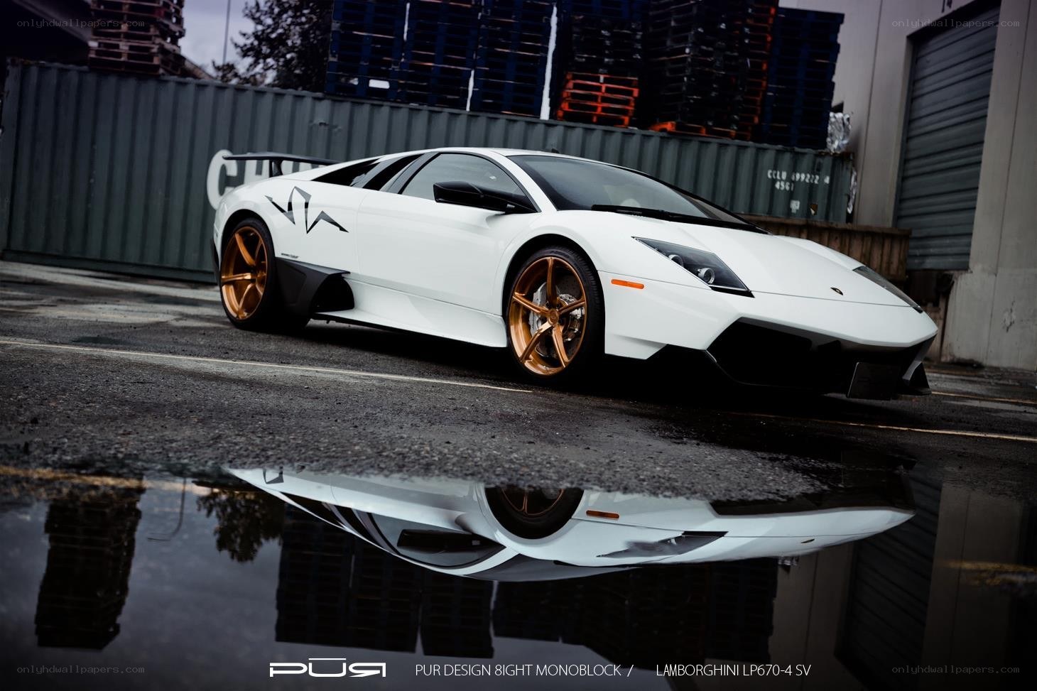 White Lamborghini with gold wheels