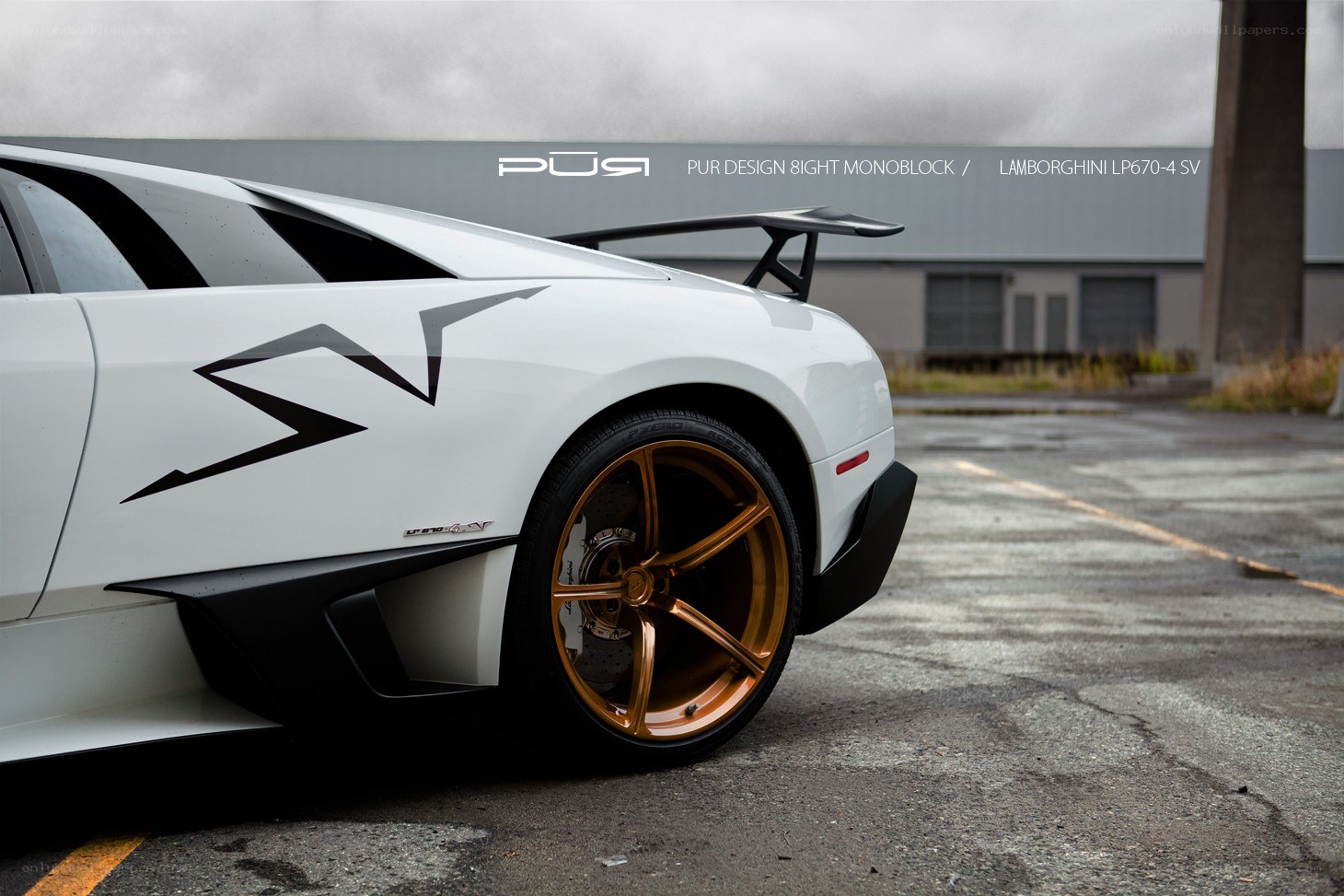 White Lamborghini with gold wheels
