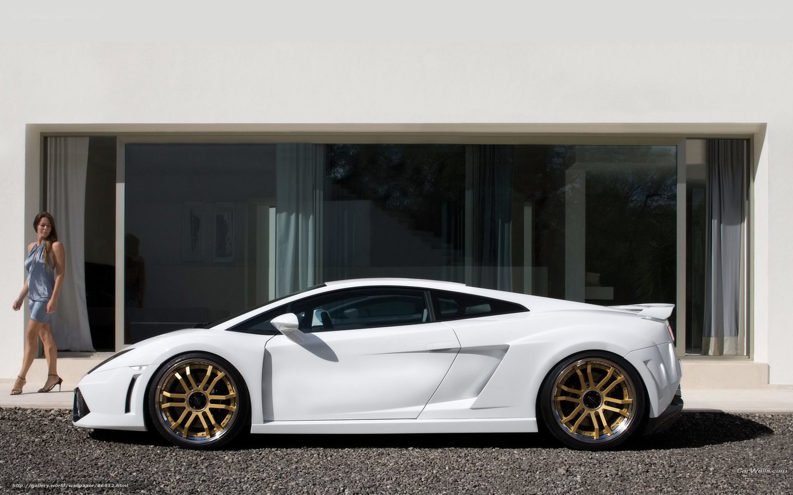 White Lamborghini with gold wheels