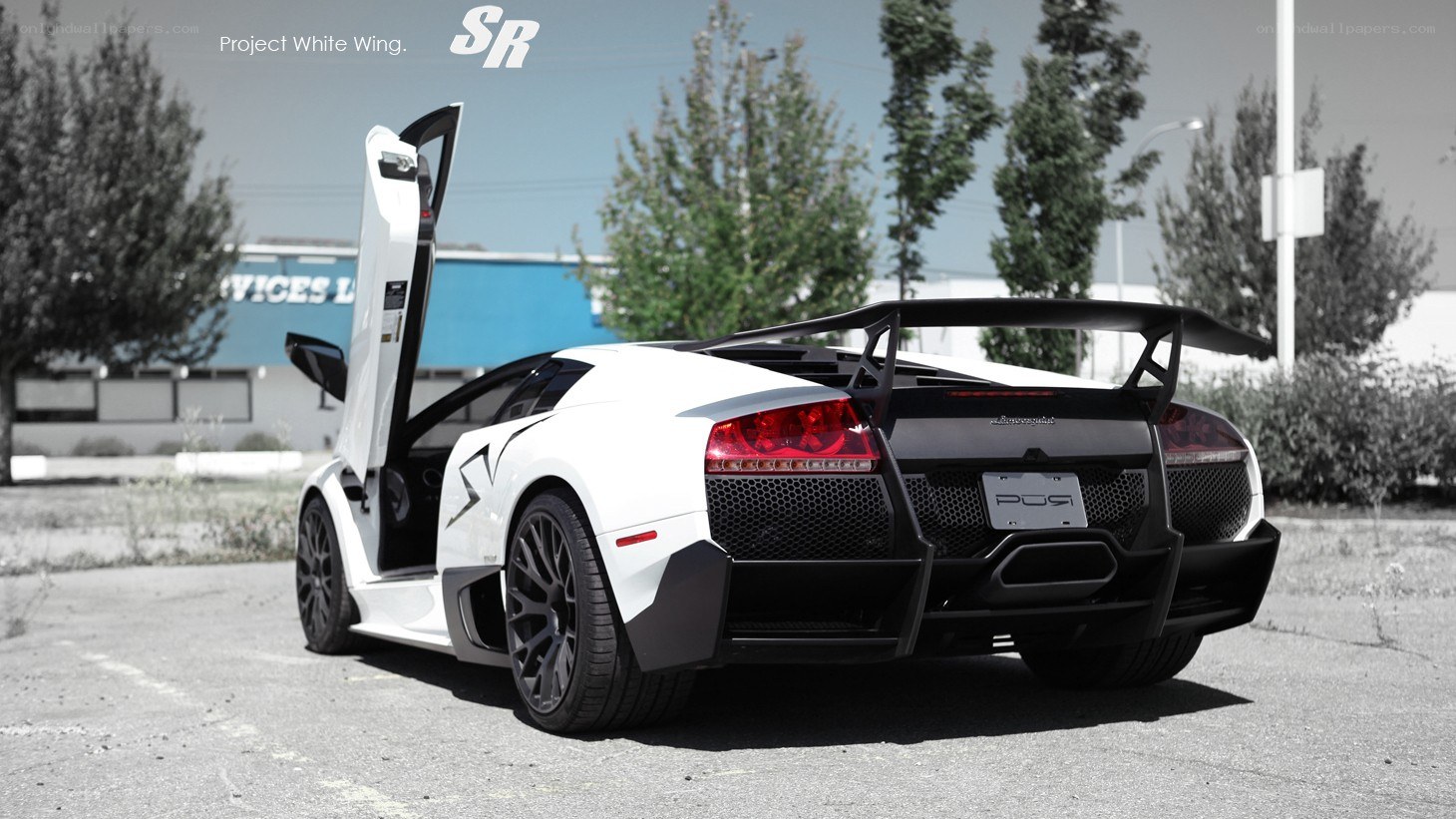 white lamborghini with open door