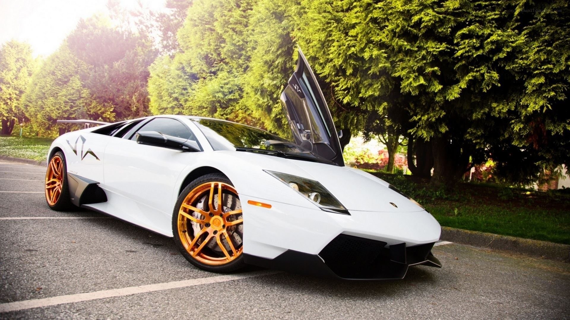 white lamborghini with orange wheels
