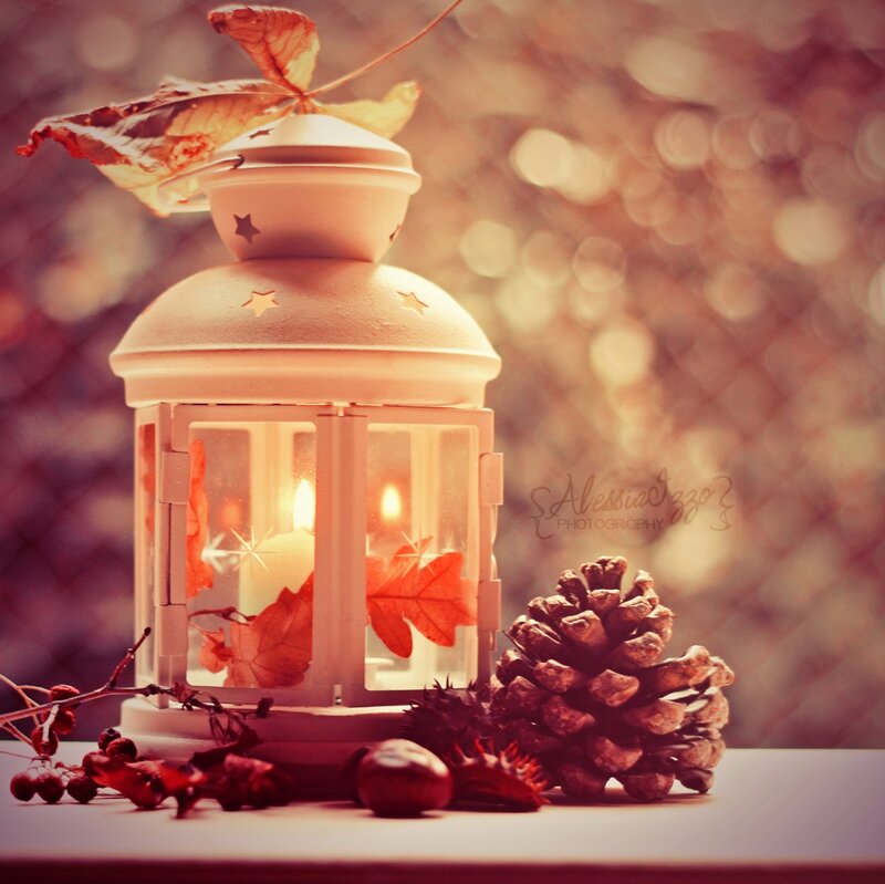 White Lantern with Autumn Leaves