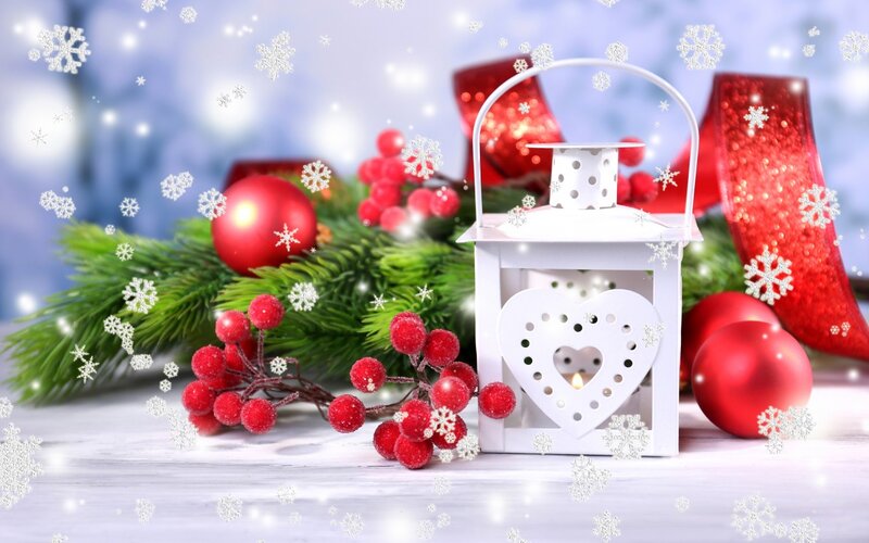 White Lantern with Berries — Festive, Winter, Photograph