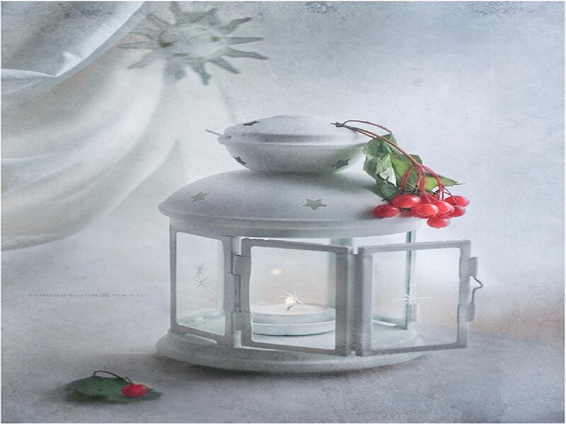 White Lantern with Berries