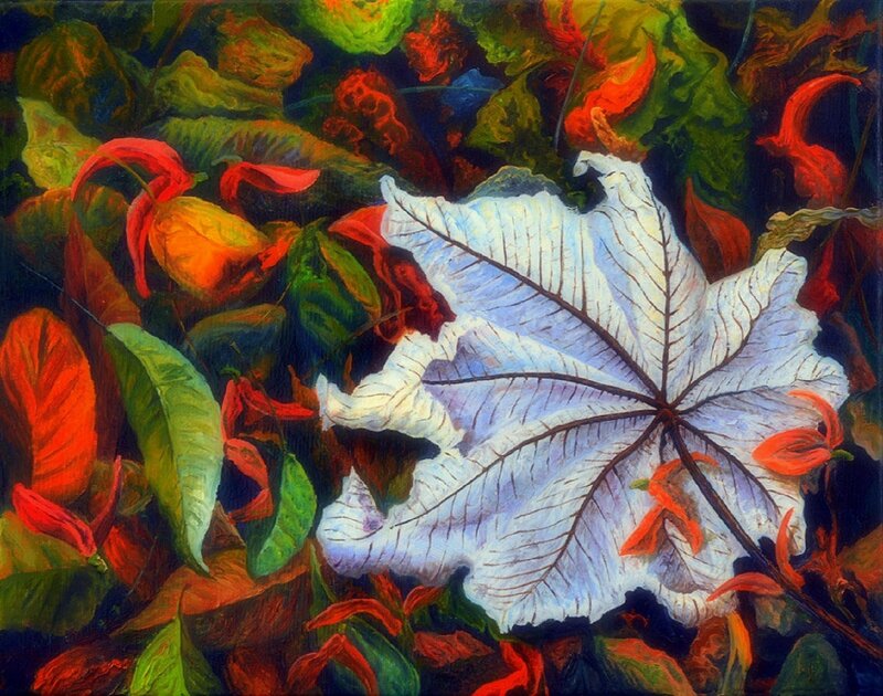 White Leaf Among Foliage