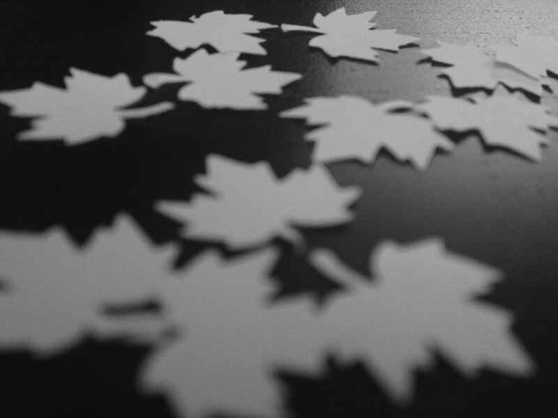 White leaf cutouts on dark surface