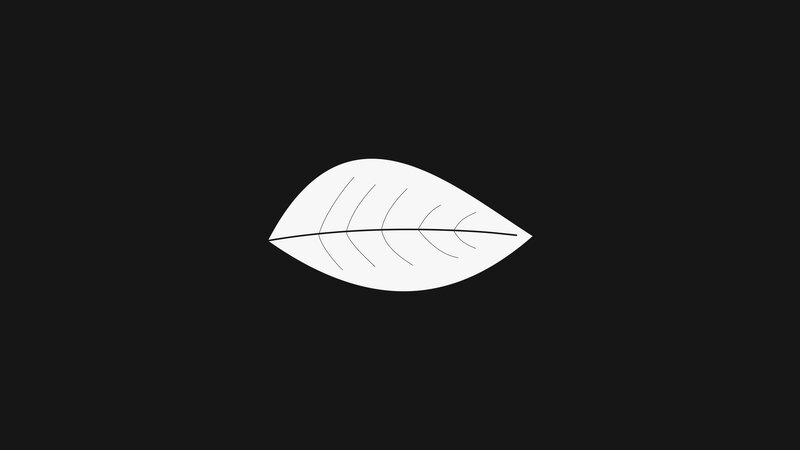 White Leaf on Black