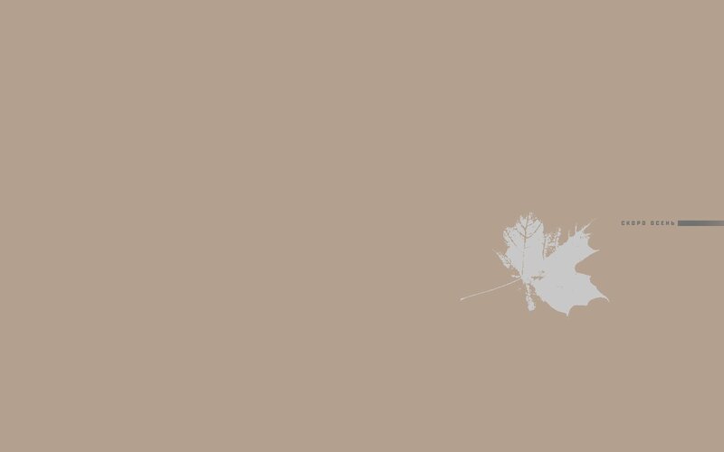 White Leaf on Brown Background