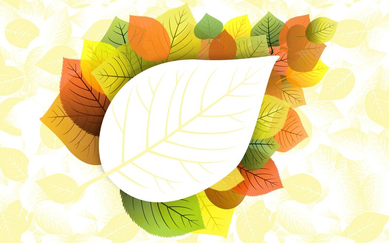 White Leaf with Autumn Leaves