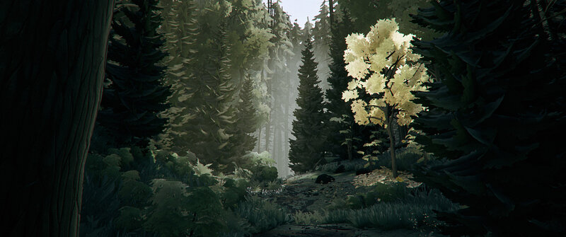 White-leafed Tree in Forest