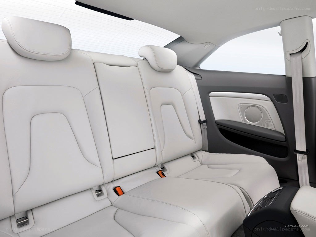 white leather car seats